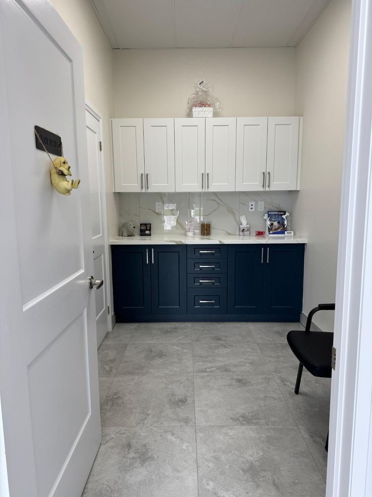 Exam Room 1 with navy cabinets, a marble counter and seating for pet owners