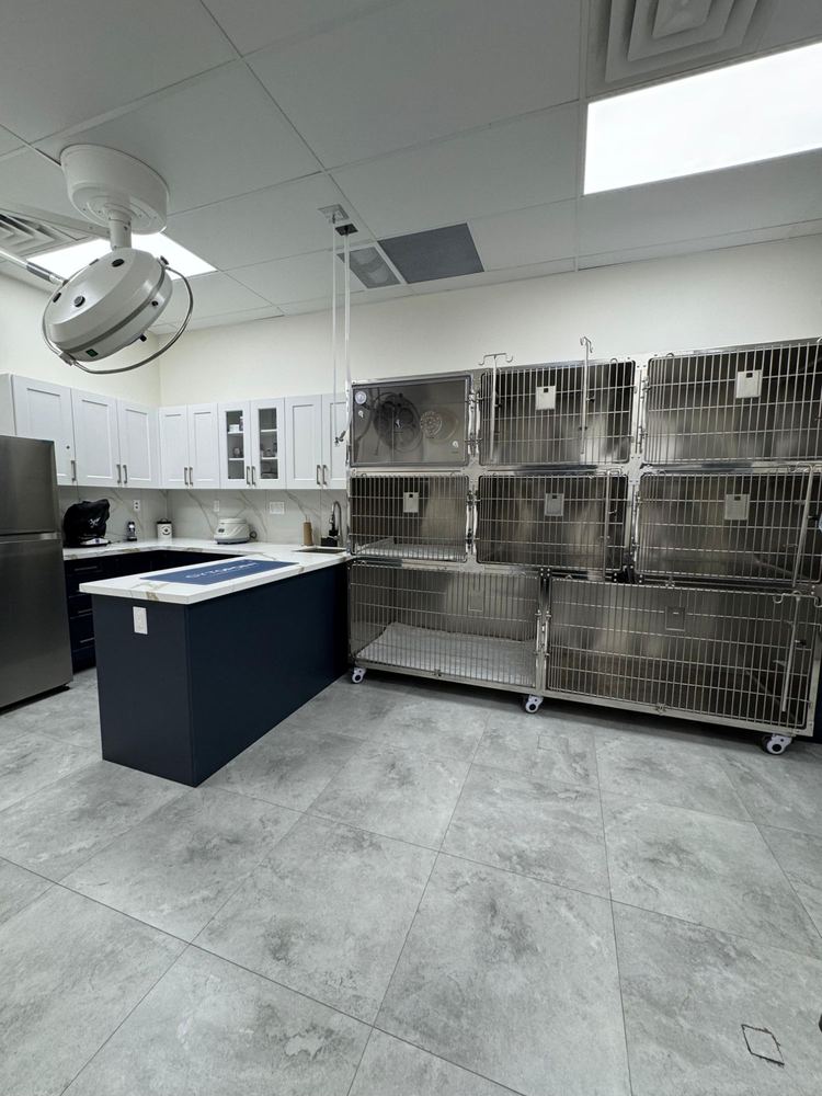 Treatment room with stainless steel recovery kennels and a surgical light